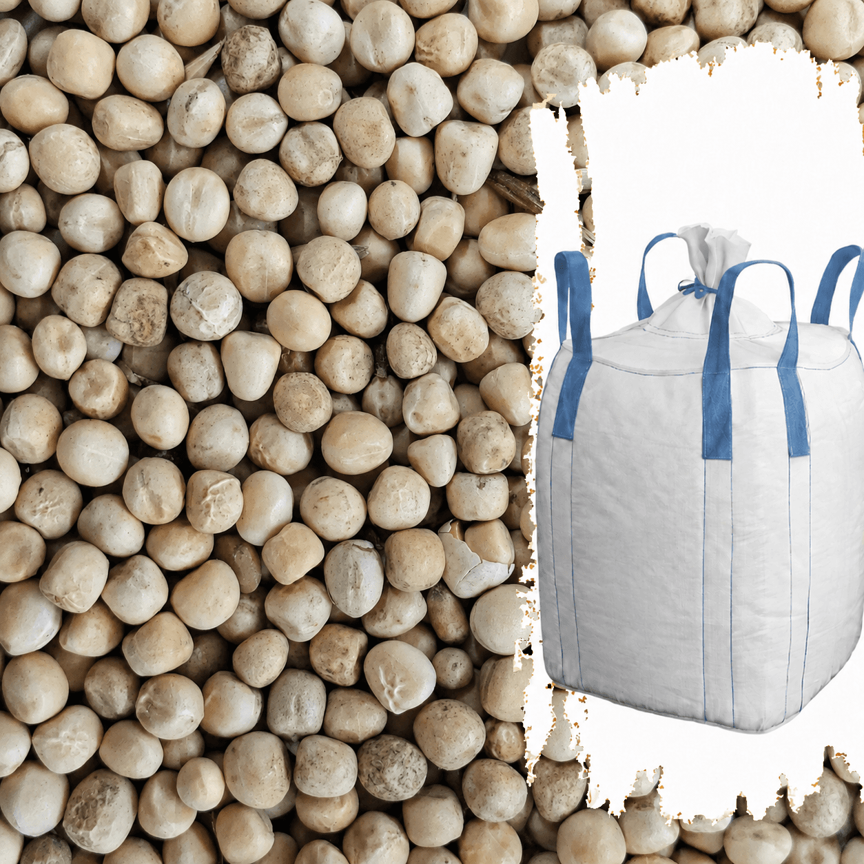 Bio-Futtererbsen mit vollständig sichtbarem weißem Big Bag