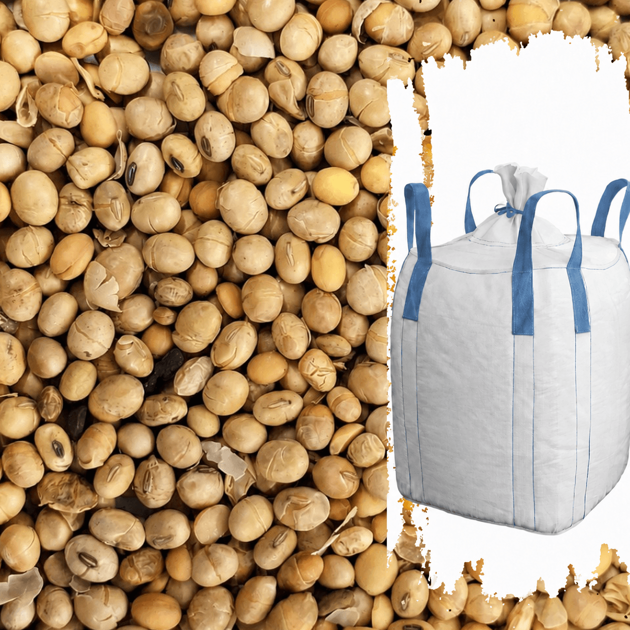 Bio-Futtersojabohnen mit vollständig sichtbarem weißem Big Bag