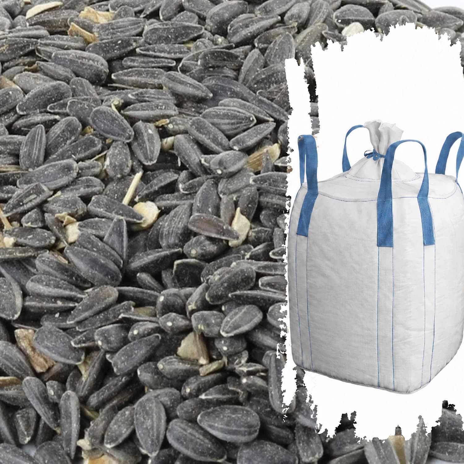 Bio-Futtersonnenblumenkerne mit weißem Big Bag
