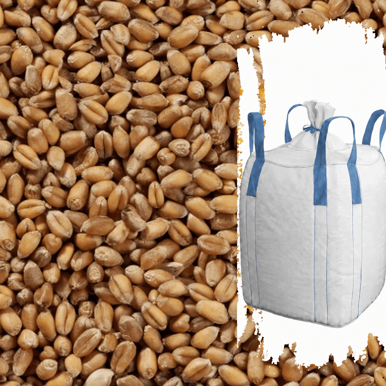 Bio-Futterweizen mit vollständig sichtbarem weißem Big Bag